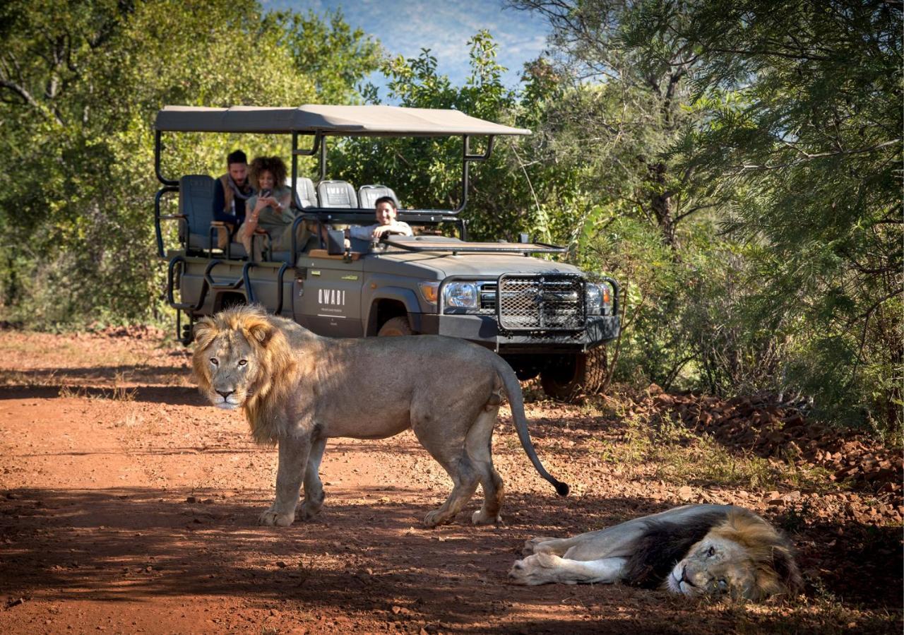 Babohi At Qwabi Private Game Reserve By Newmark 贝拉贝拉 外观 照片